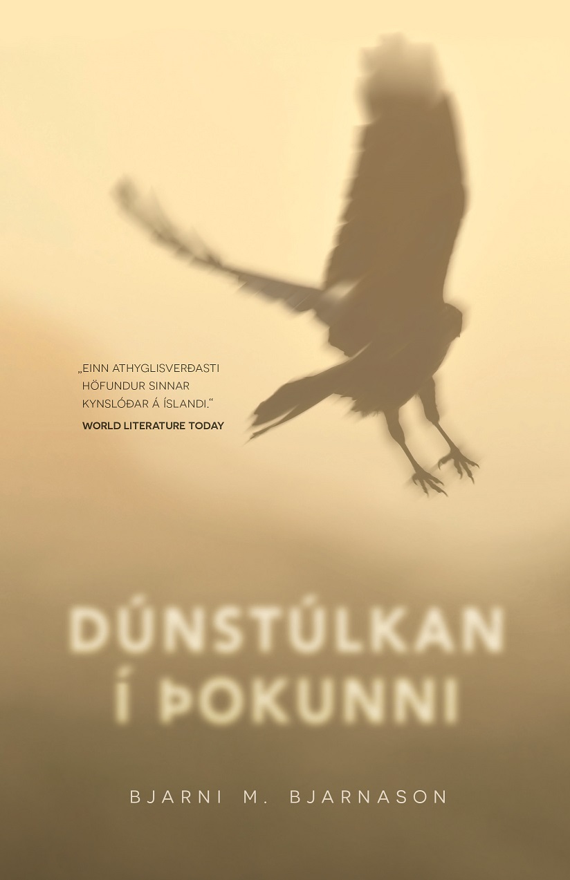 Dúnstúlkan í þokunni (The Feather-Girl in the Fog)