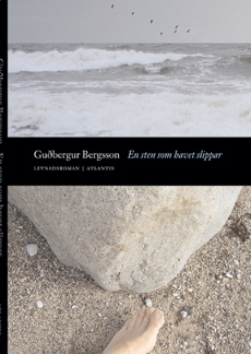 En sten som havet slipar : romanbiografi