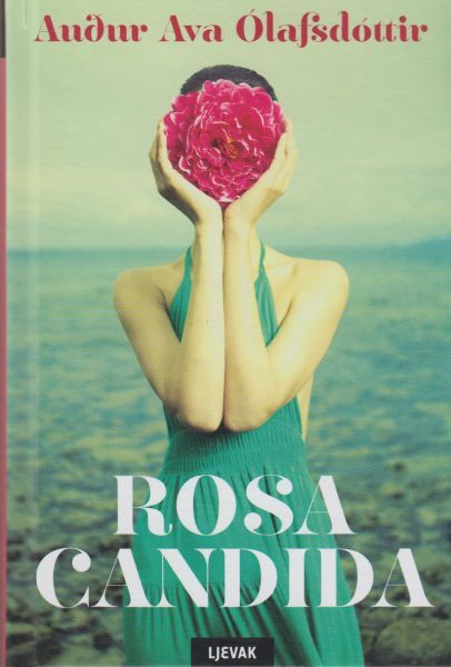 Rosa candida